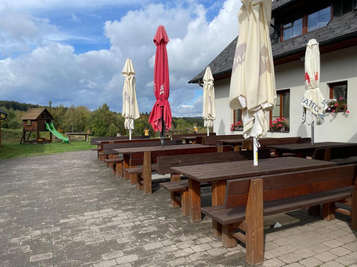 Hotel Pod Dratnikem Svratka